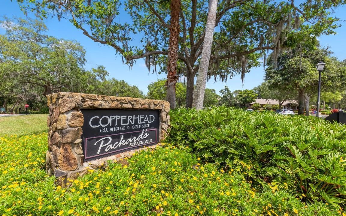 Photo of Outdoor in Palm Harbor