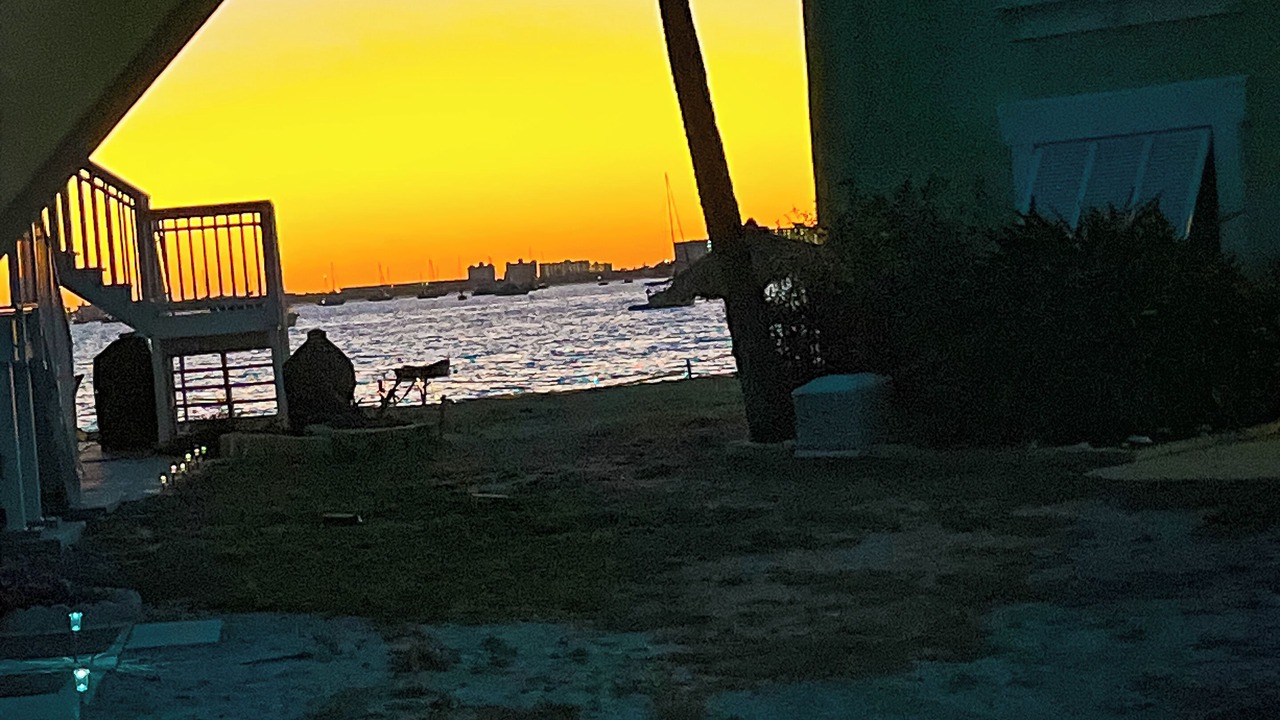 Photo of Others in Bayview