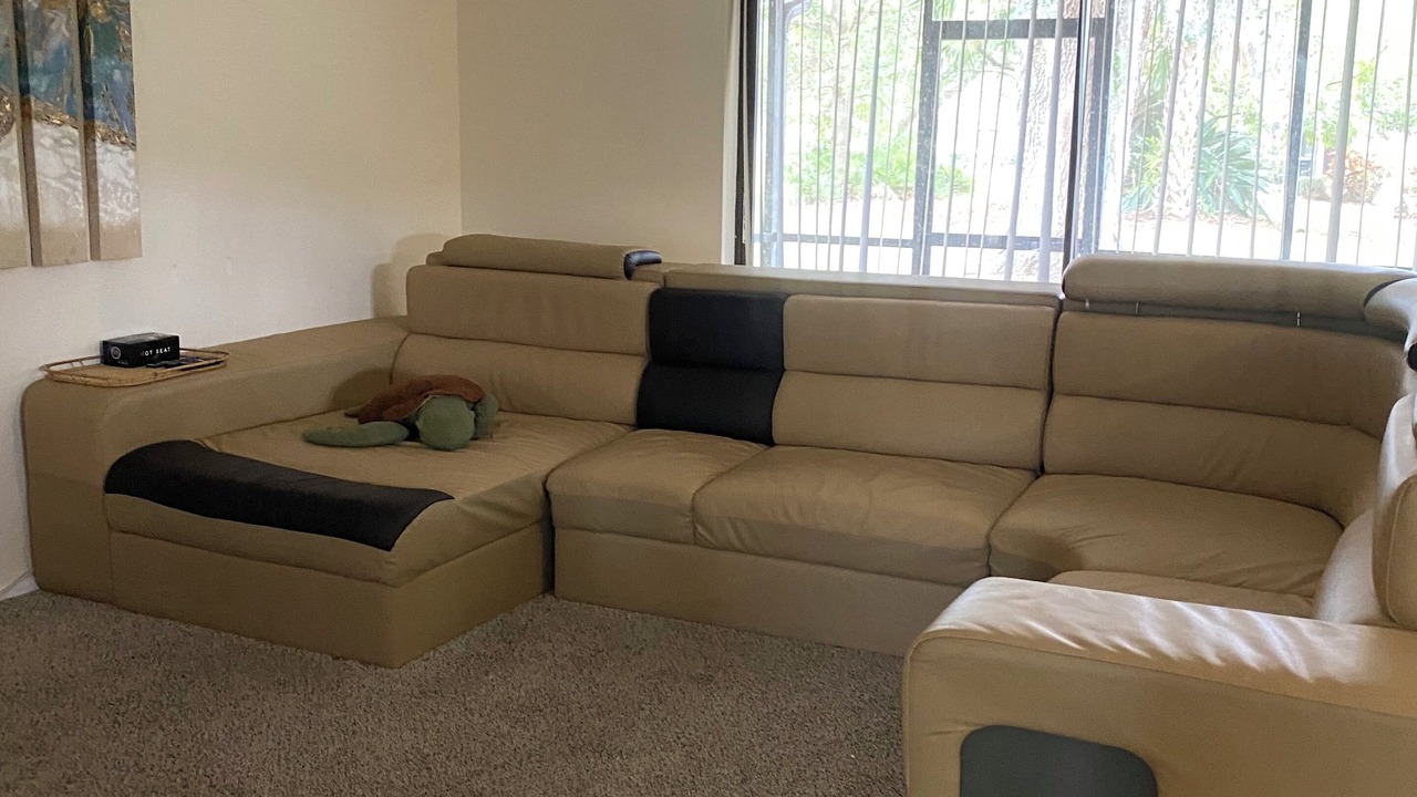 Photo of Livingroom in Oldsmar