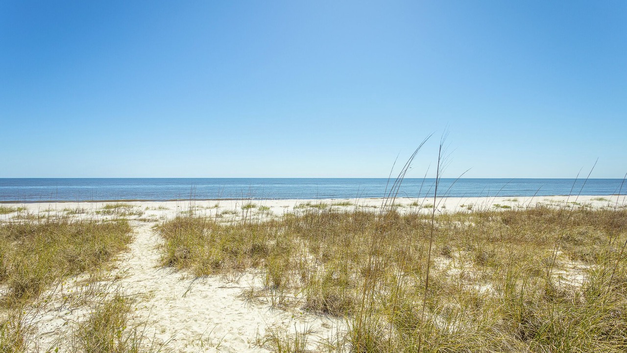 Photo of Others in Alligator Point