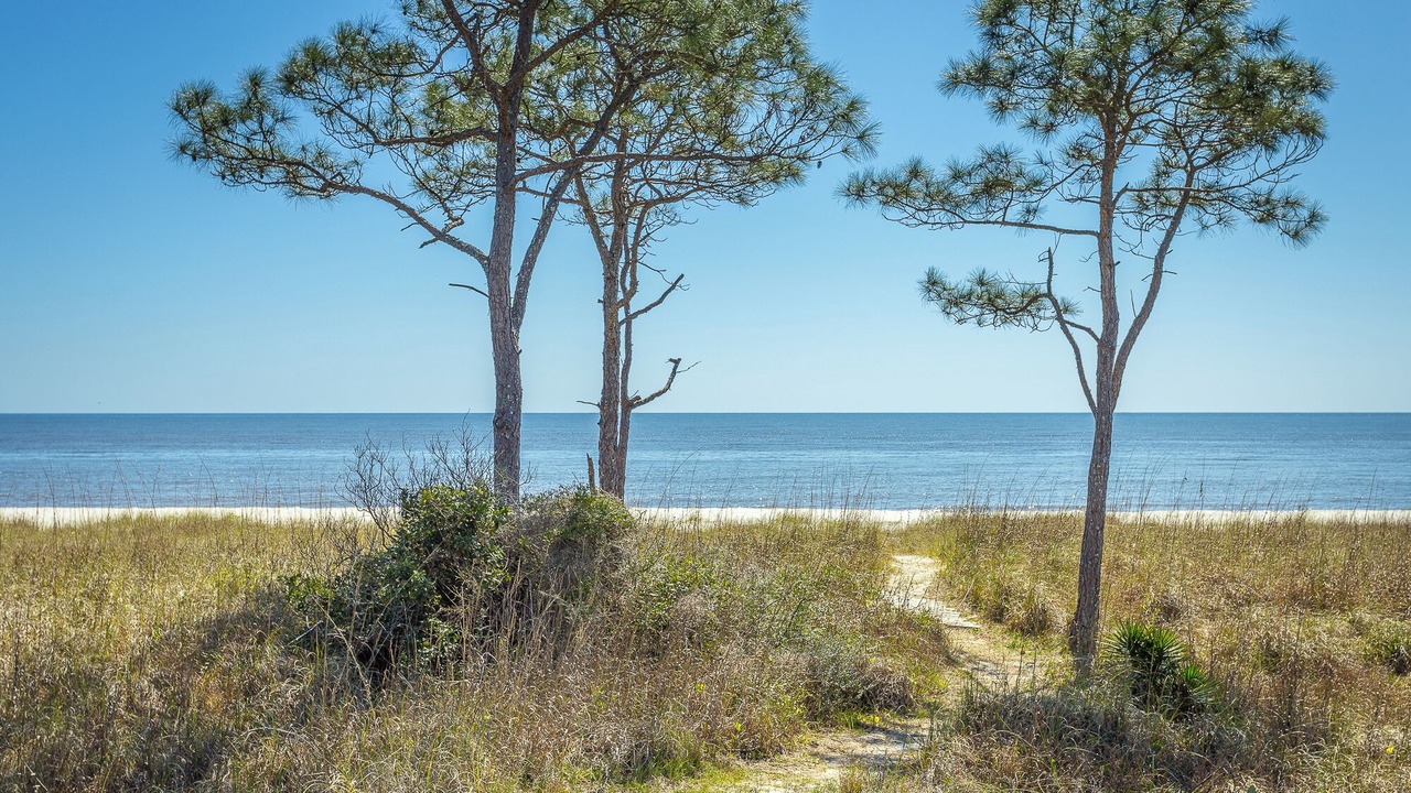 Photo of Others in Alligator Point