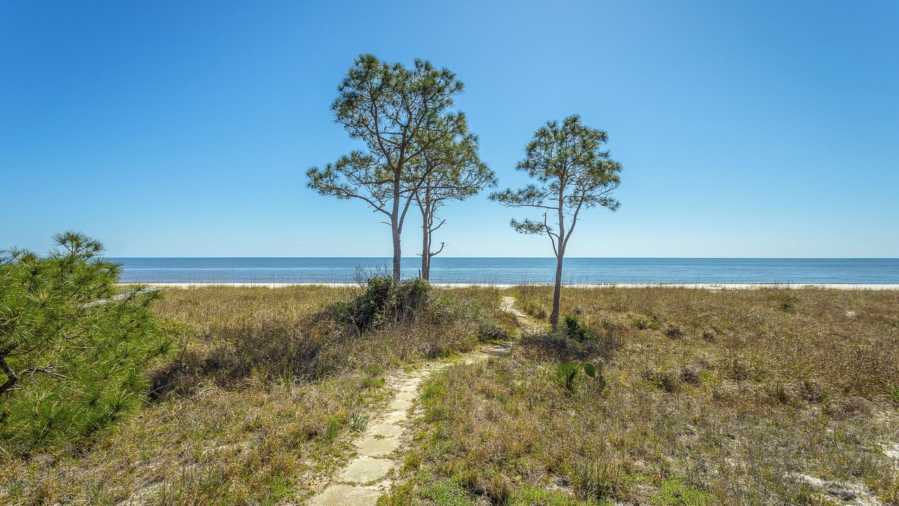 Photo of Others in Alligator Point