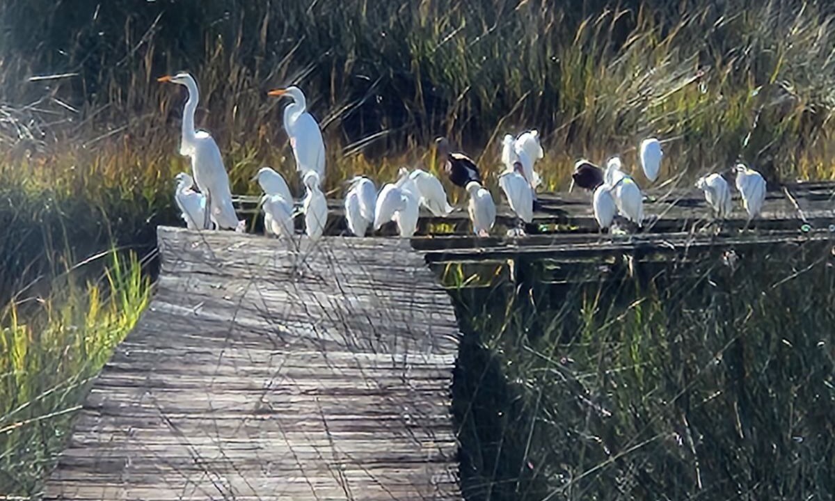Photo of Others in Yulee