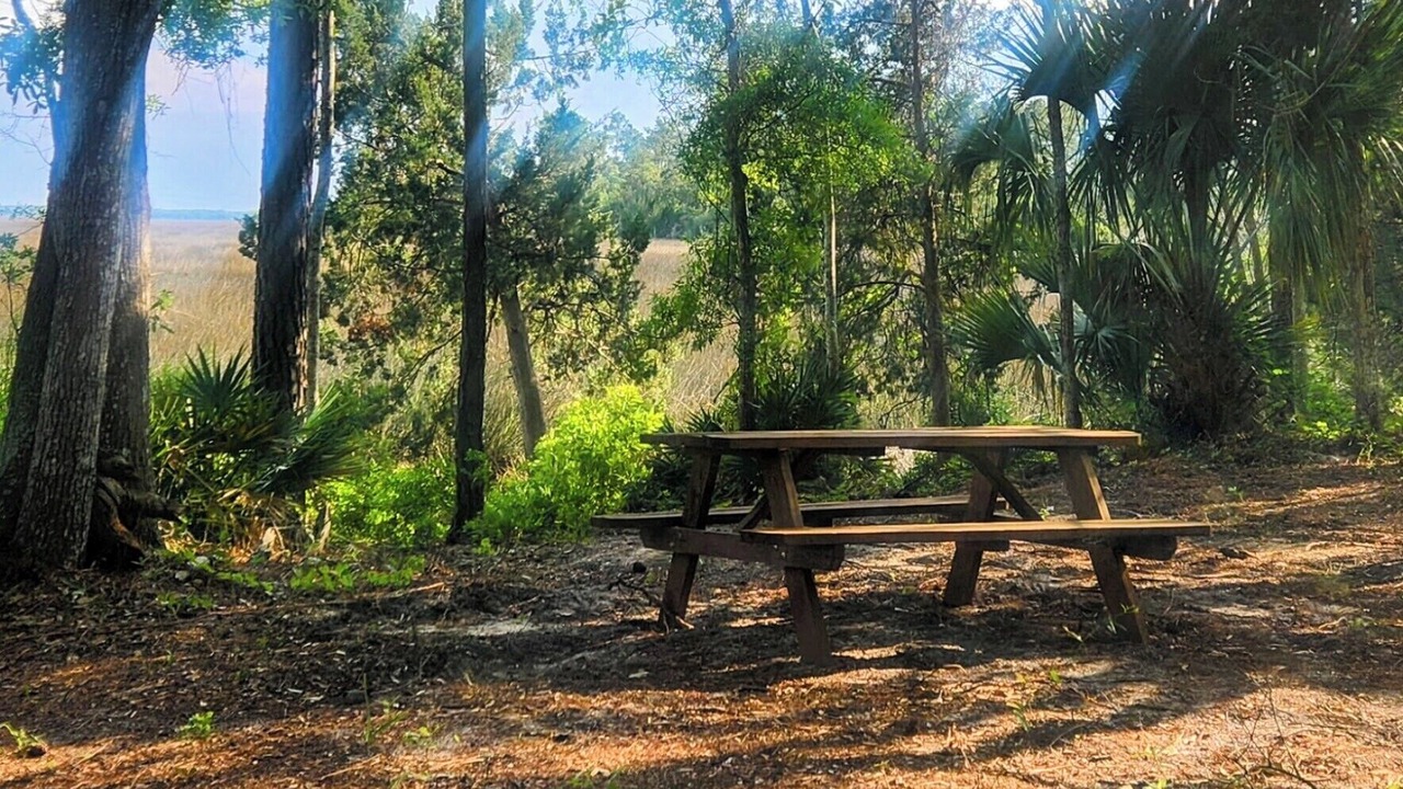 Photo of Outdoor in Yulee