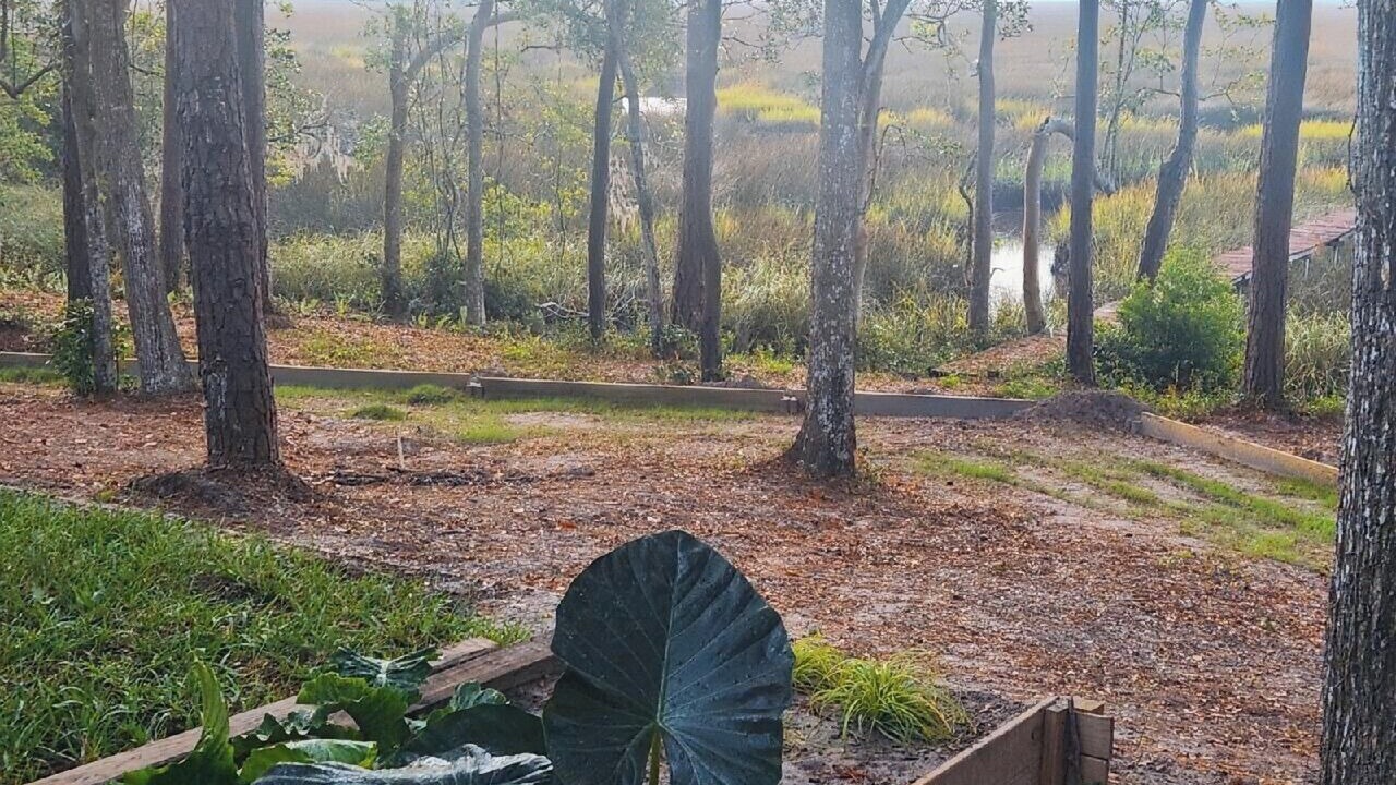 Photo of Outdoor in Yulee
