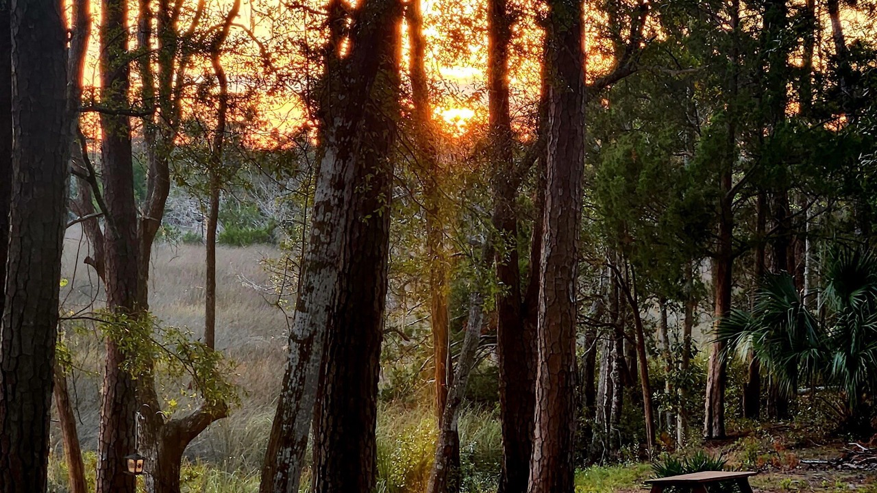 Photo of Outdoor in Yulee