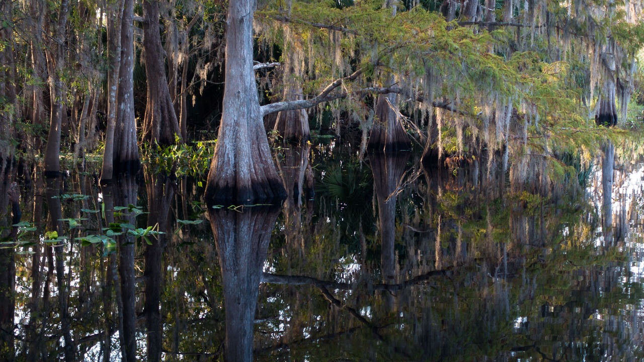 Photo of Others in Sanford