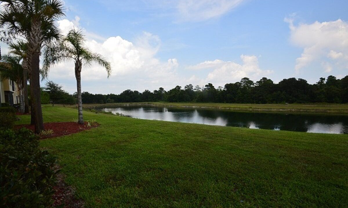 Photo of Outdoor in West Kissimmee