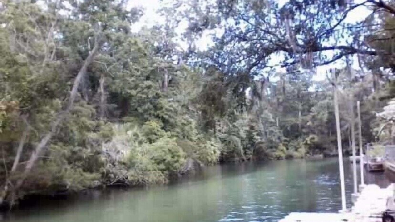 Photo of Others in Weeki Wachee Gardens