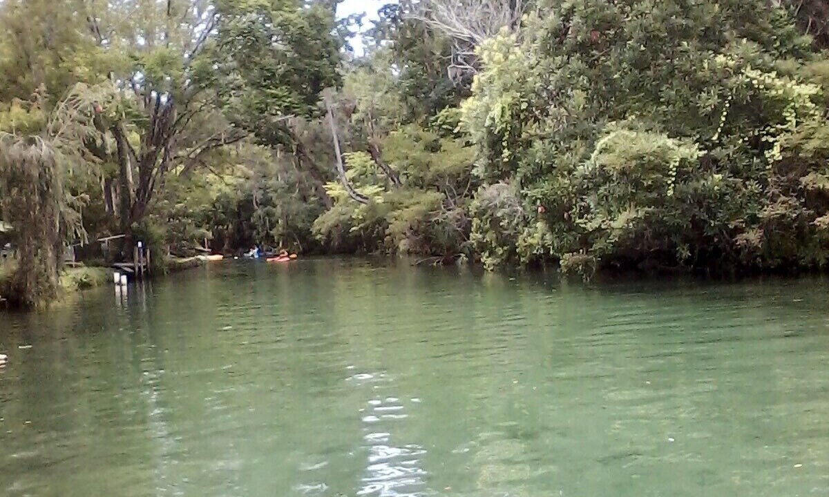 Photo of Others in Weeki Wachee Gardens