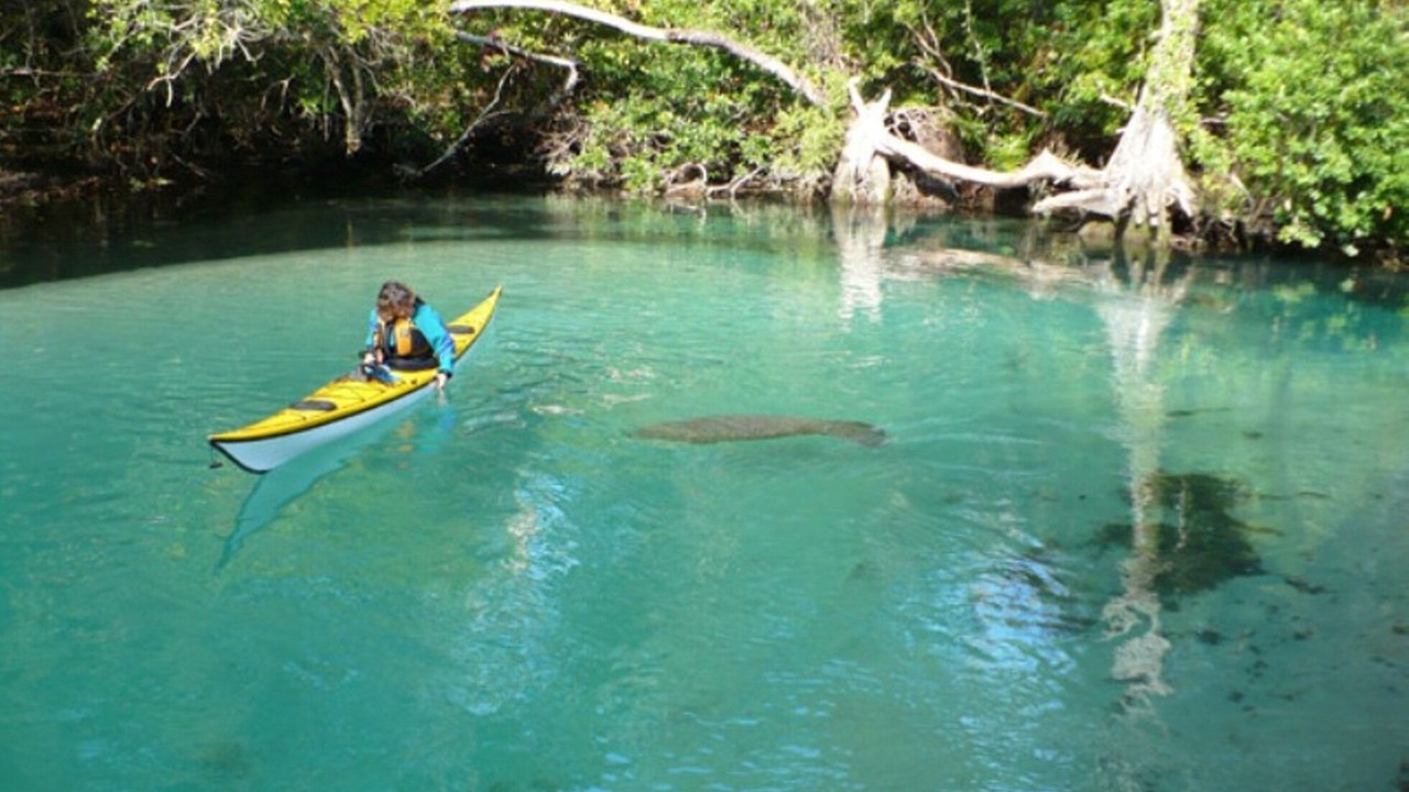 Photo of Others in Weeki Wachee Gardens