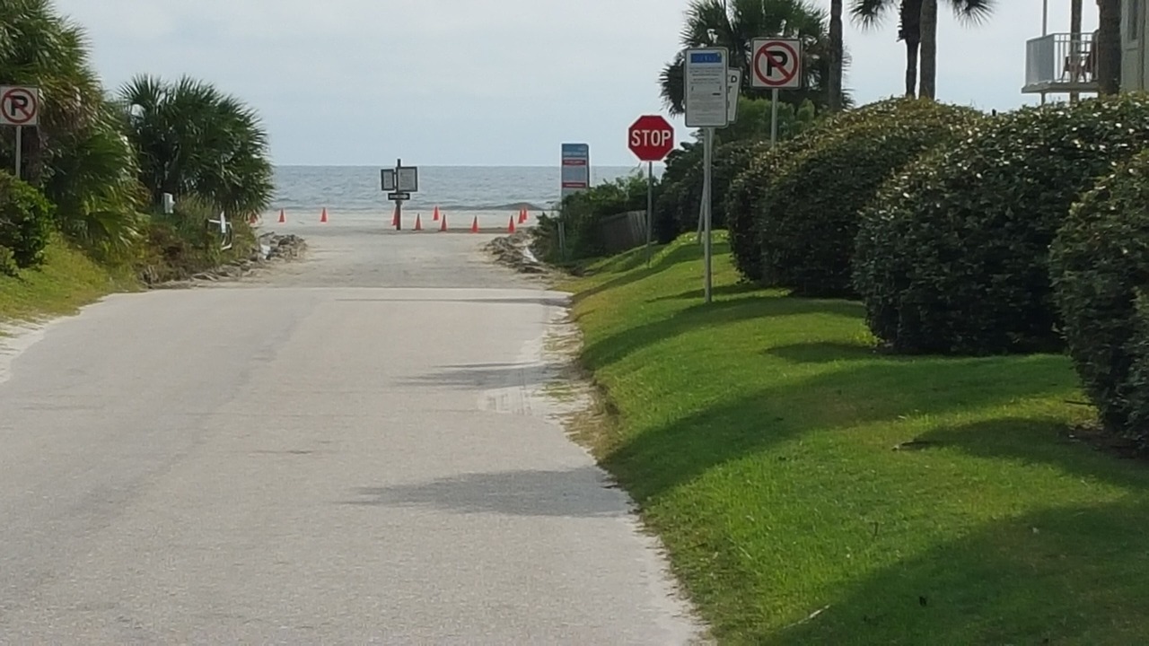Photo of Others in St. Augustine Beach