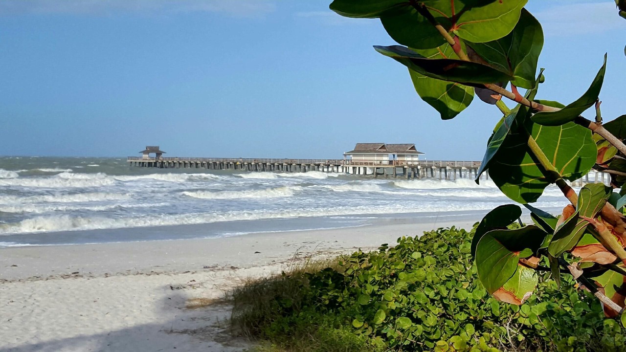 Photo of Others in Old Naples