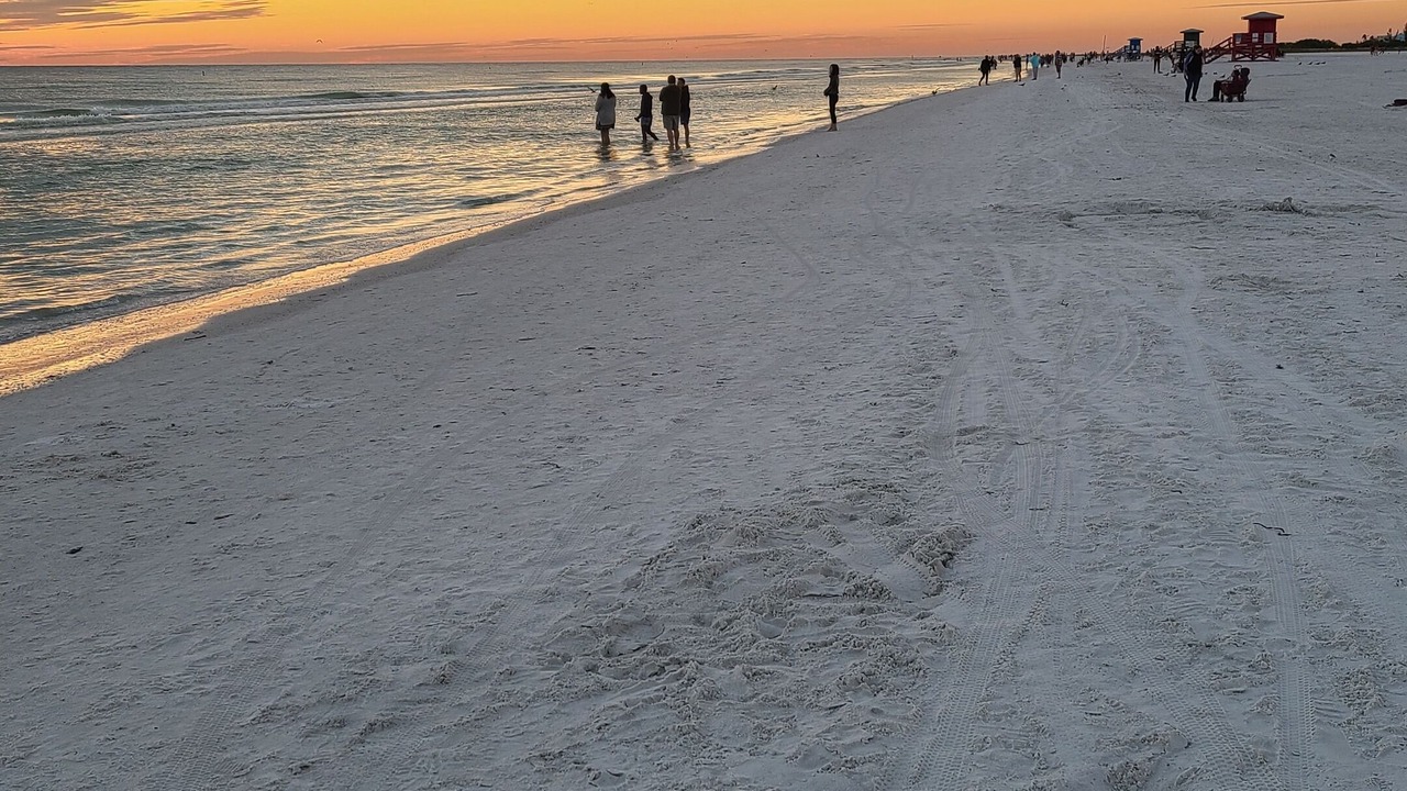 Photo of Others in South Sarasota