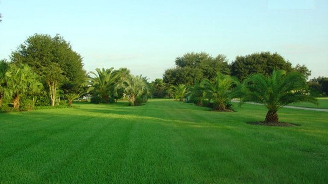 Photo of Others in Clermont