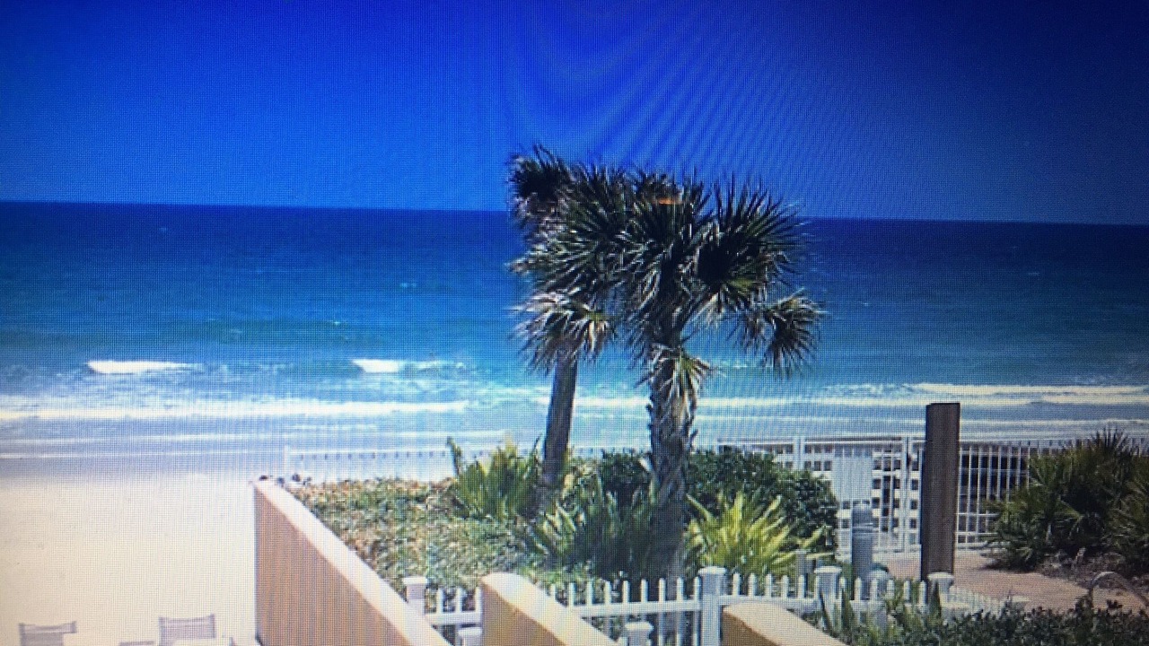 Photo of Outdoor in Daytona Beach Shores