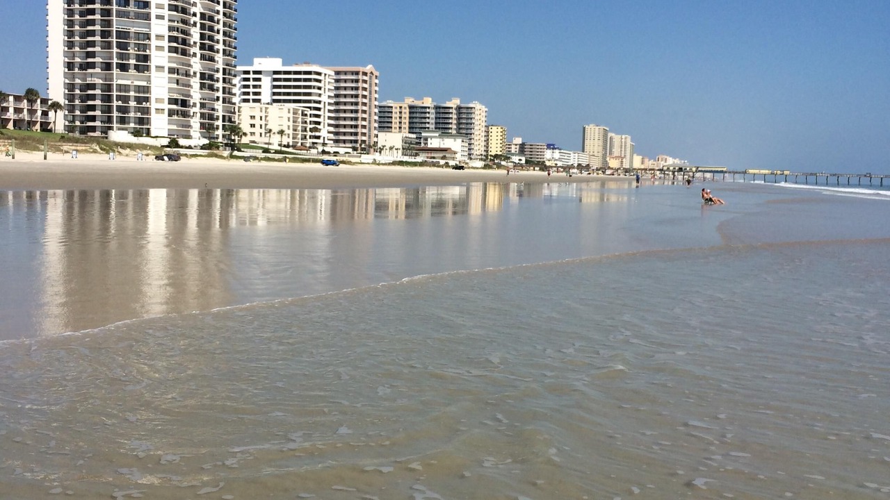 Photo of Others in Daytona Beach Shores