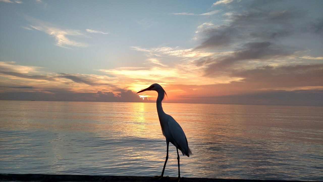 Photo of Others in Daytona Beach Shores