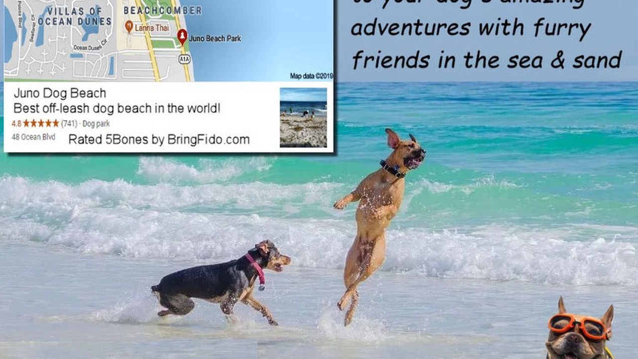 Photo of Others in Florida North Atlantic Coast