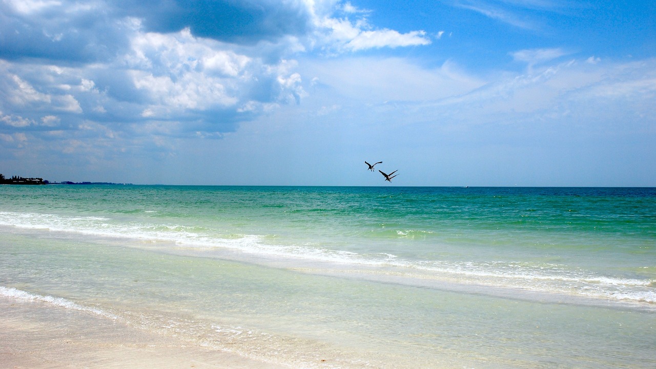 Photo of Others in Siesta Key