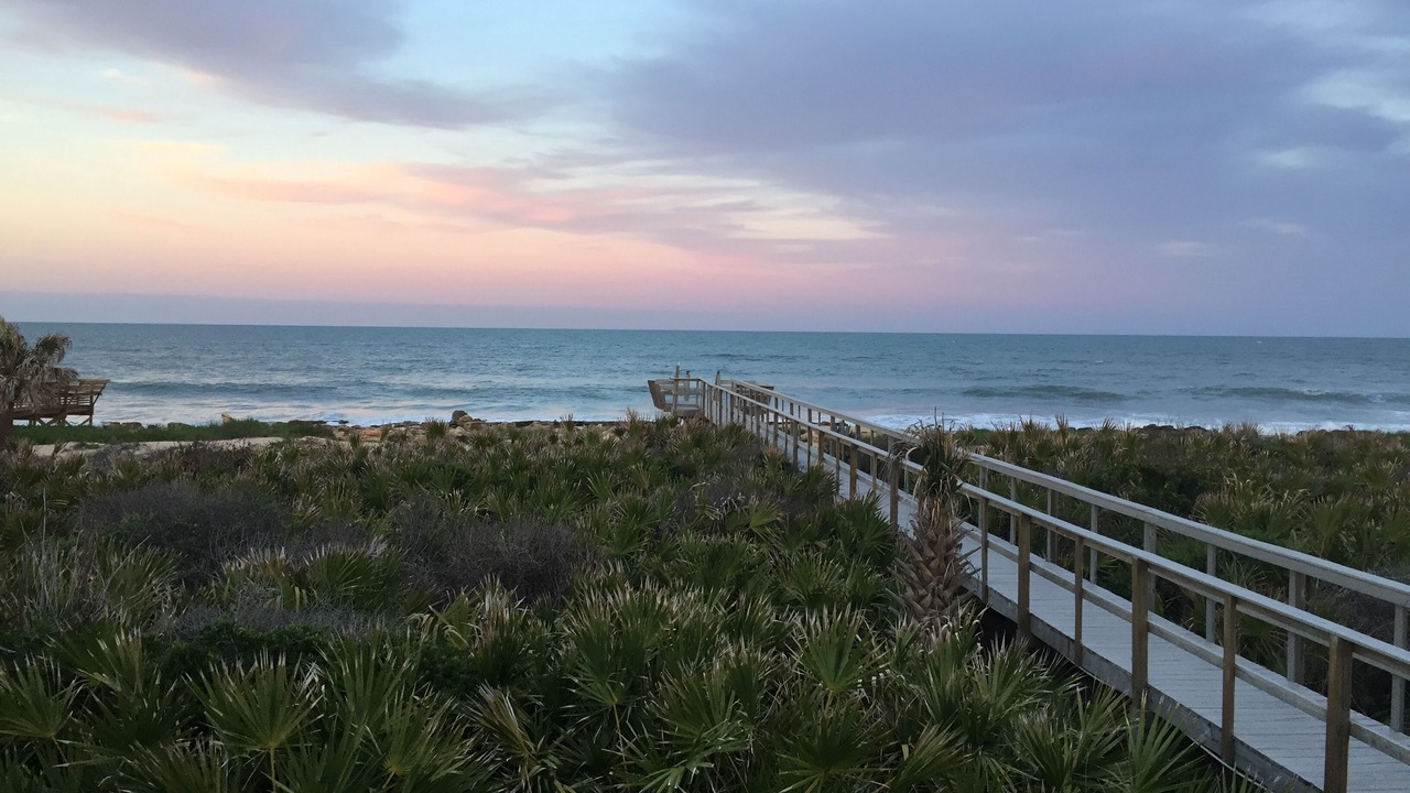 Photo of Others in Palm Coast