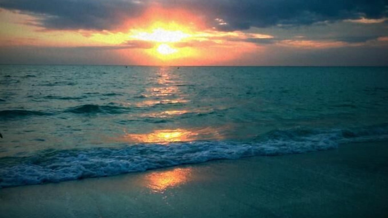 Photo of Others in Bradenton Beach