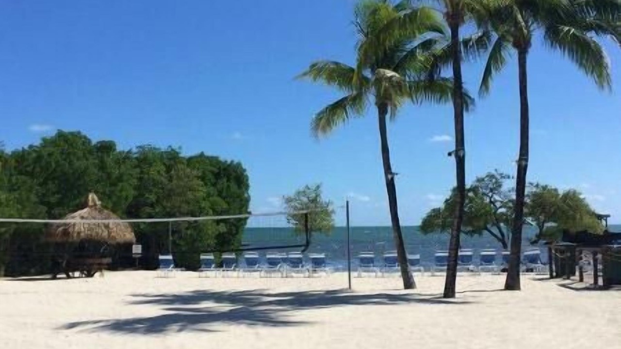 Photo of Others in Tavernier