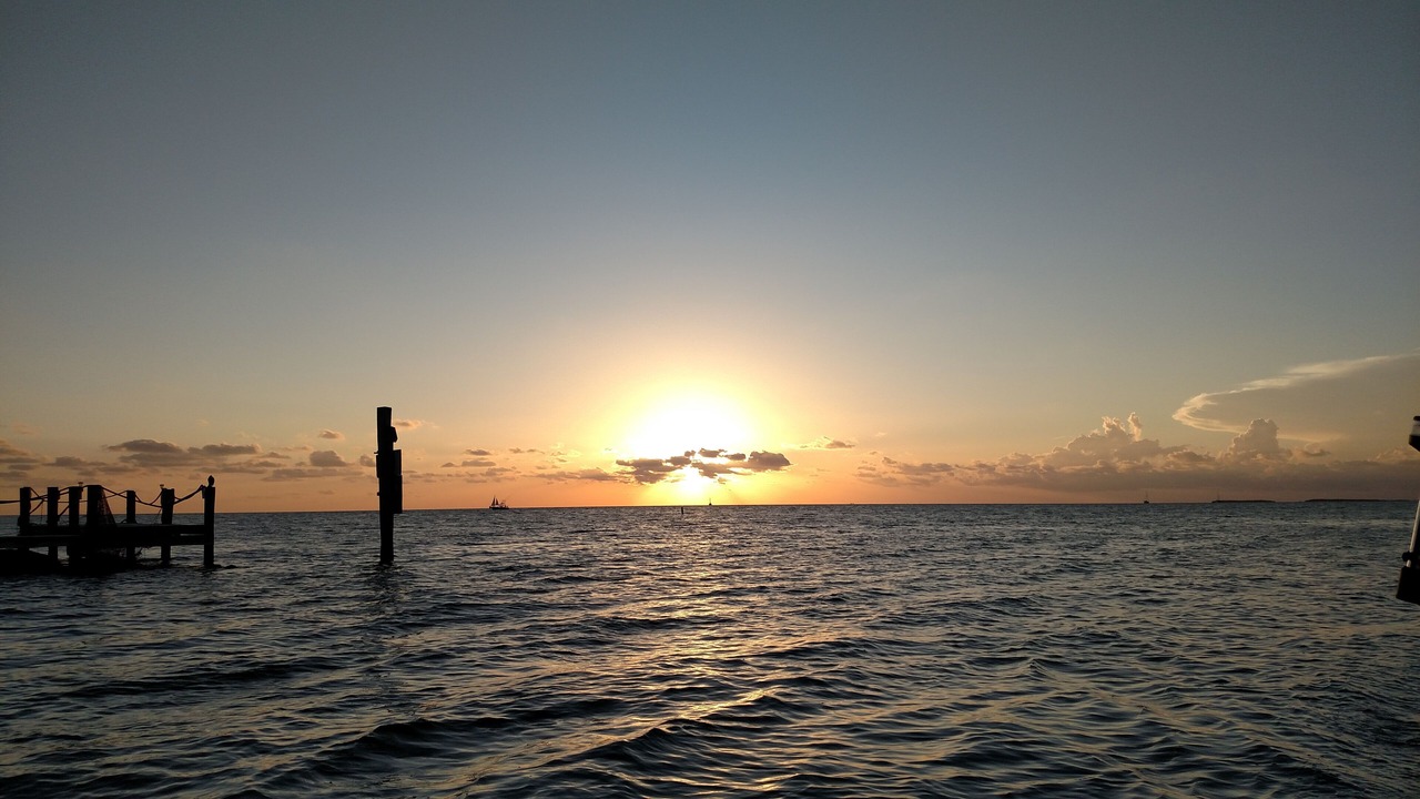Photo of Others in Tavernier