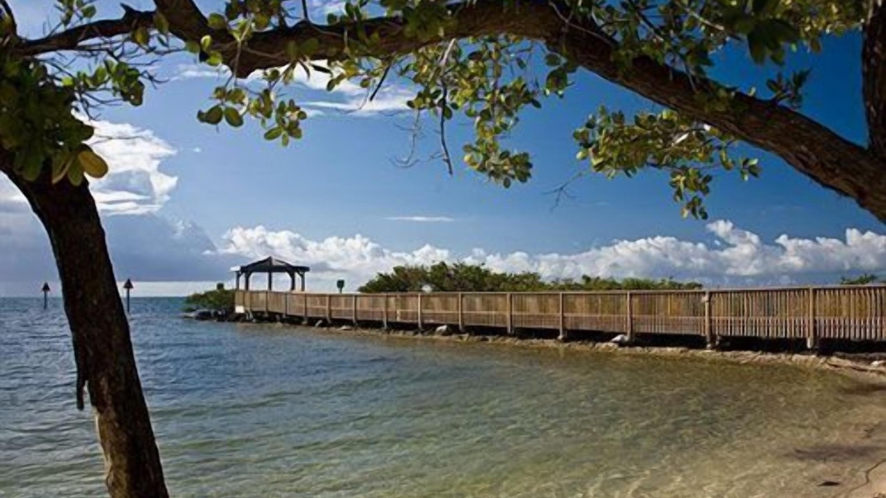 Photo of Others in Tavernier