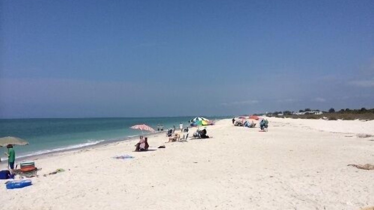 Photo of Others in Port Charlotte