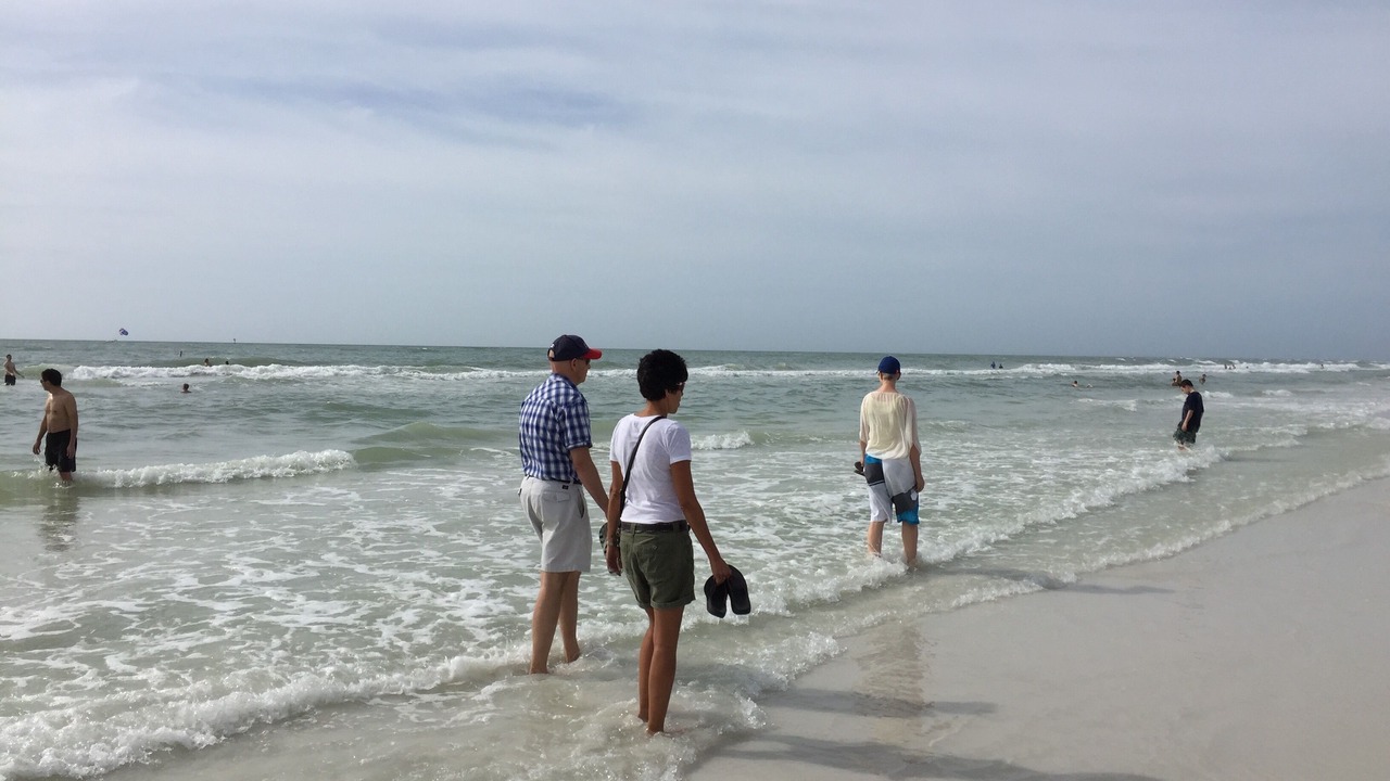 Photo of Others in Port Charlotte