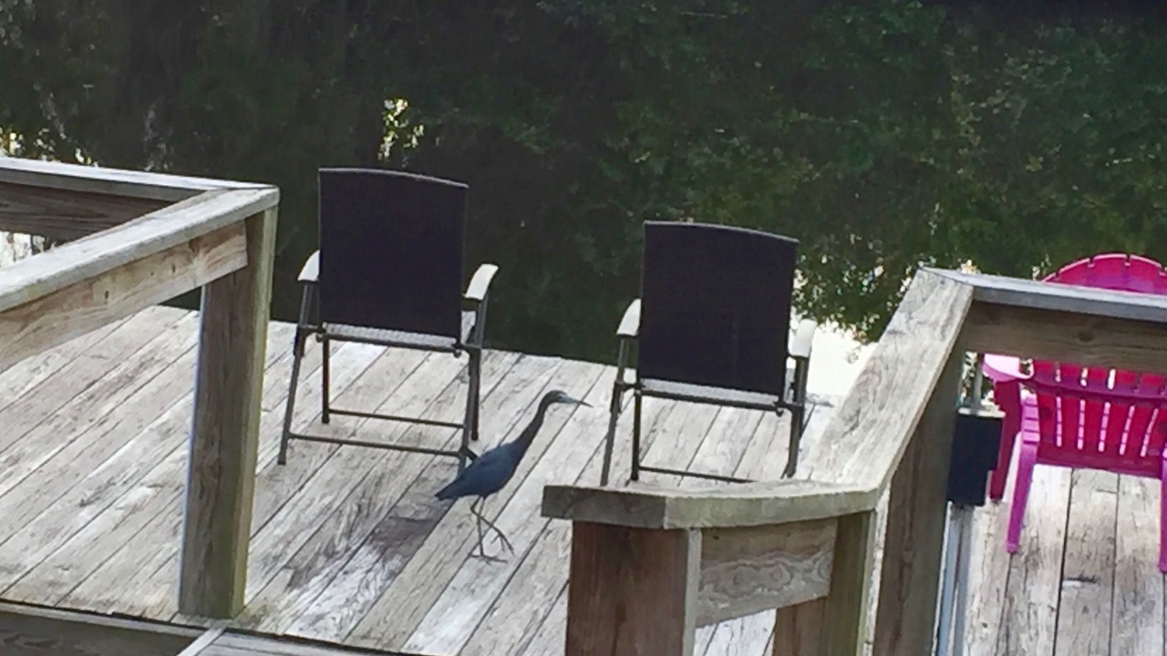 Photo of Outdoor in Port Charlotte
