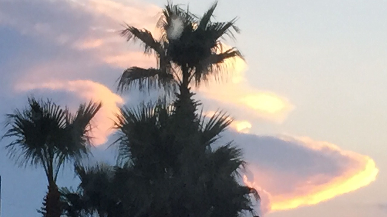 Photo of Outdoor in Ormond-by-the-Sea