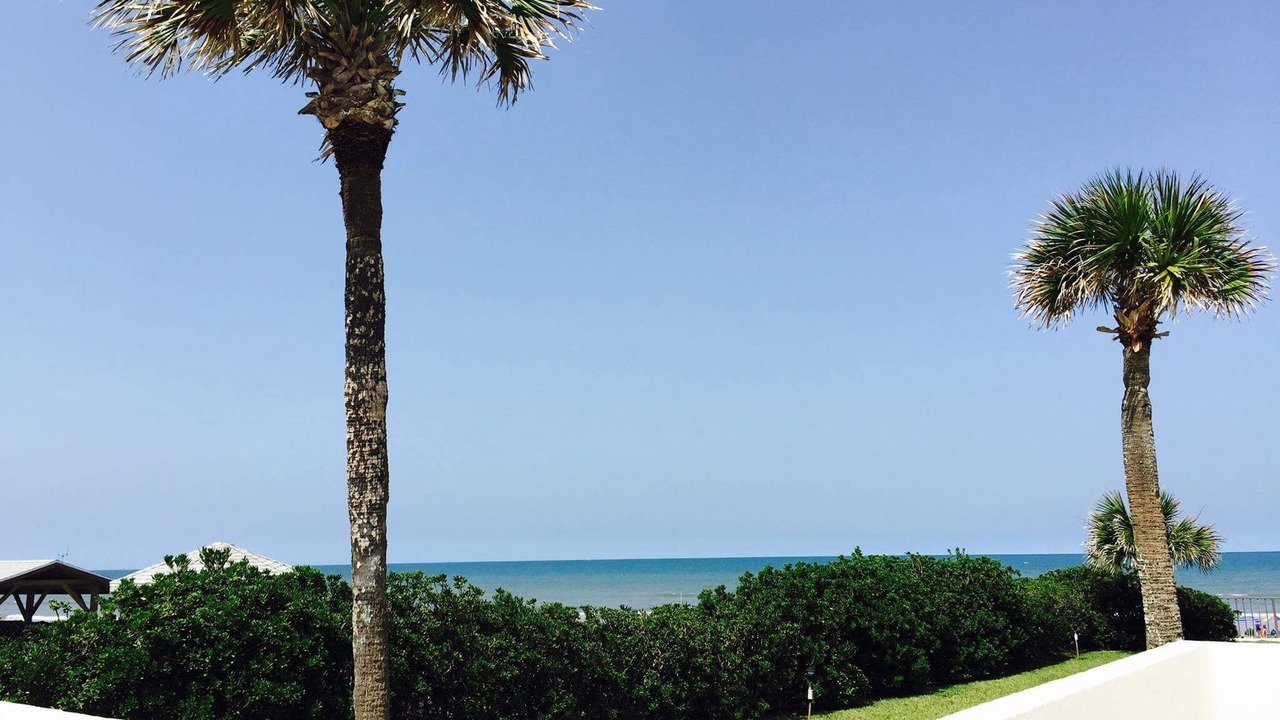 Photo of Others in Ormond-by-the-Sea