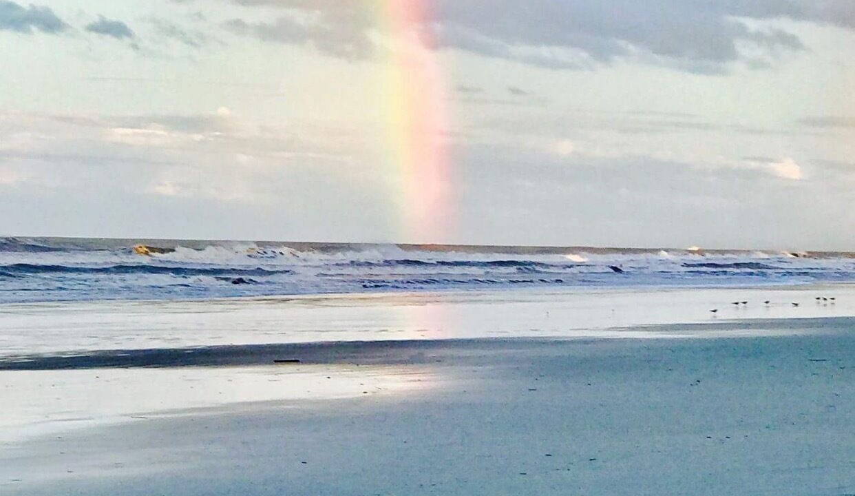 Photo of Others in Ormond-by-the-Sea