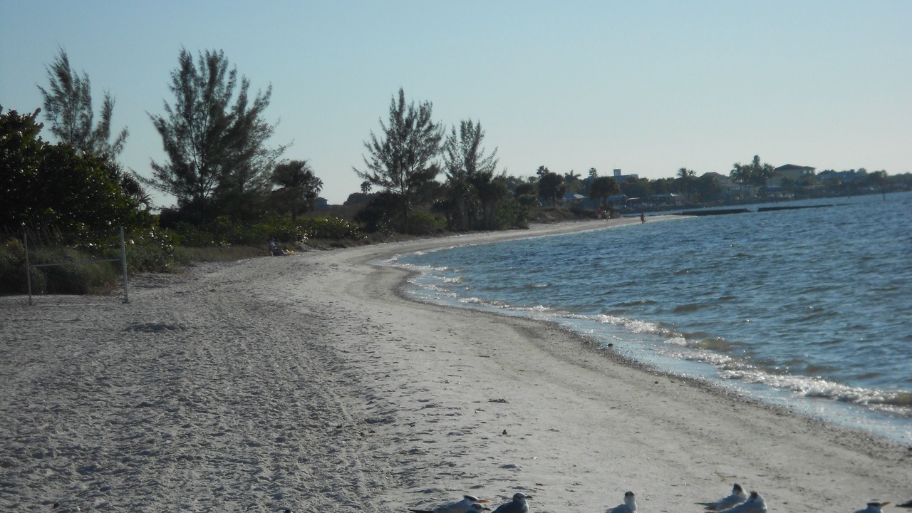Photo of Others in Ruskin