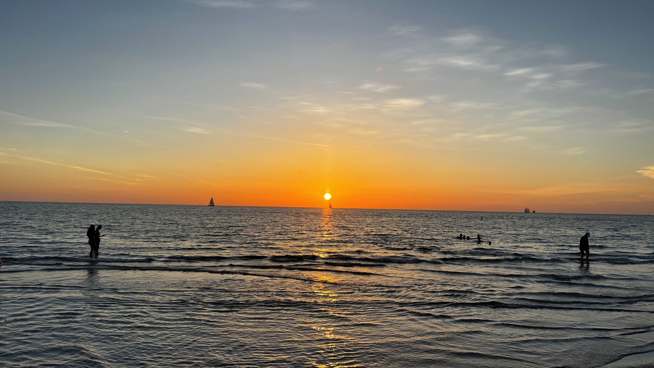 Photo of Others in Indian Shores