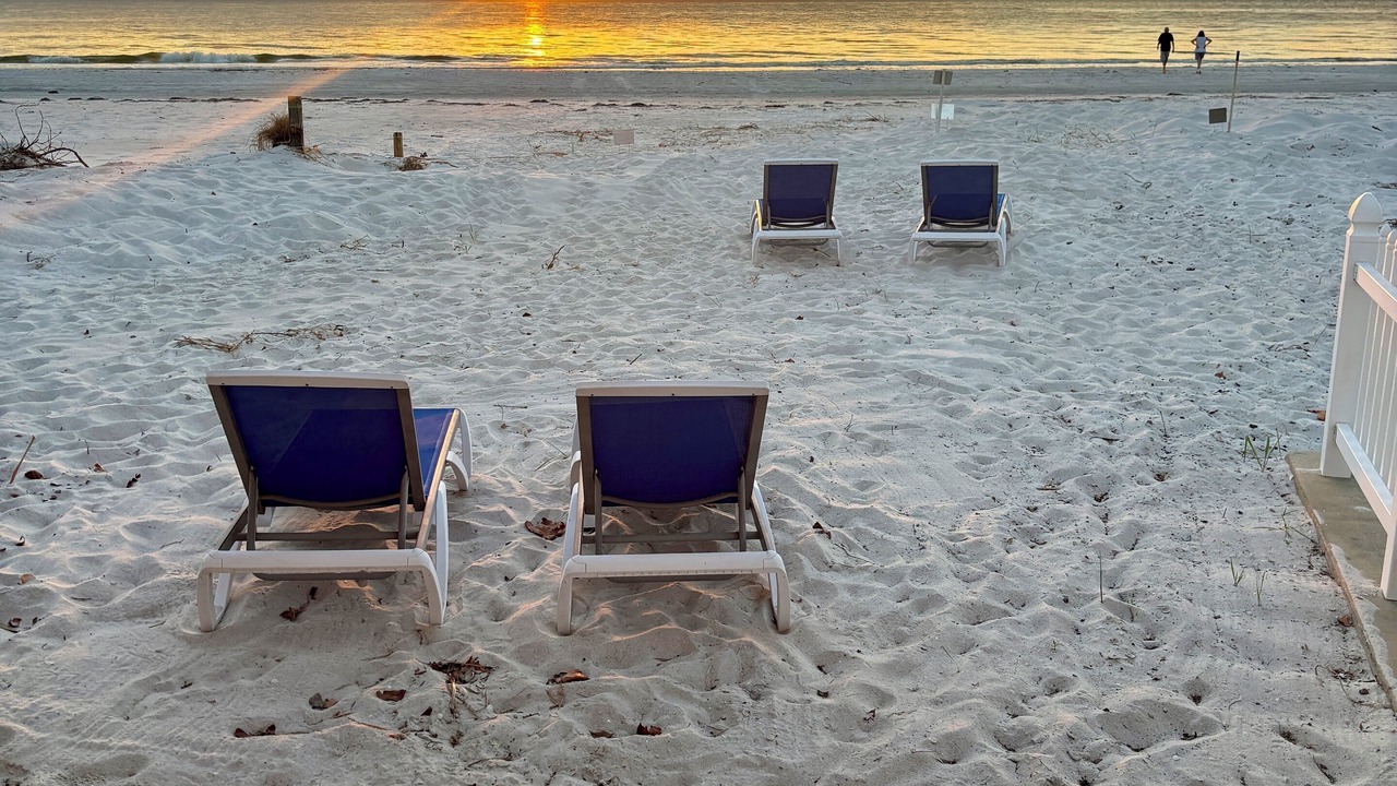 Photo of Others in Indian Shores