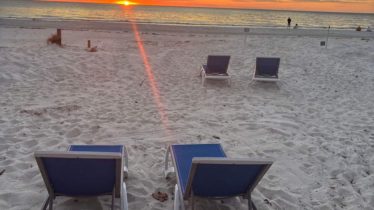 Photo of Others in Indian Shores