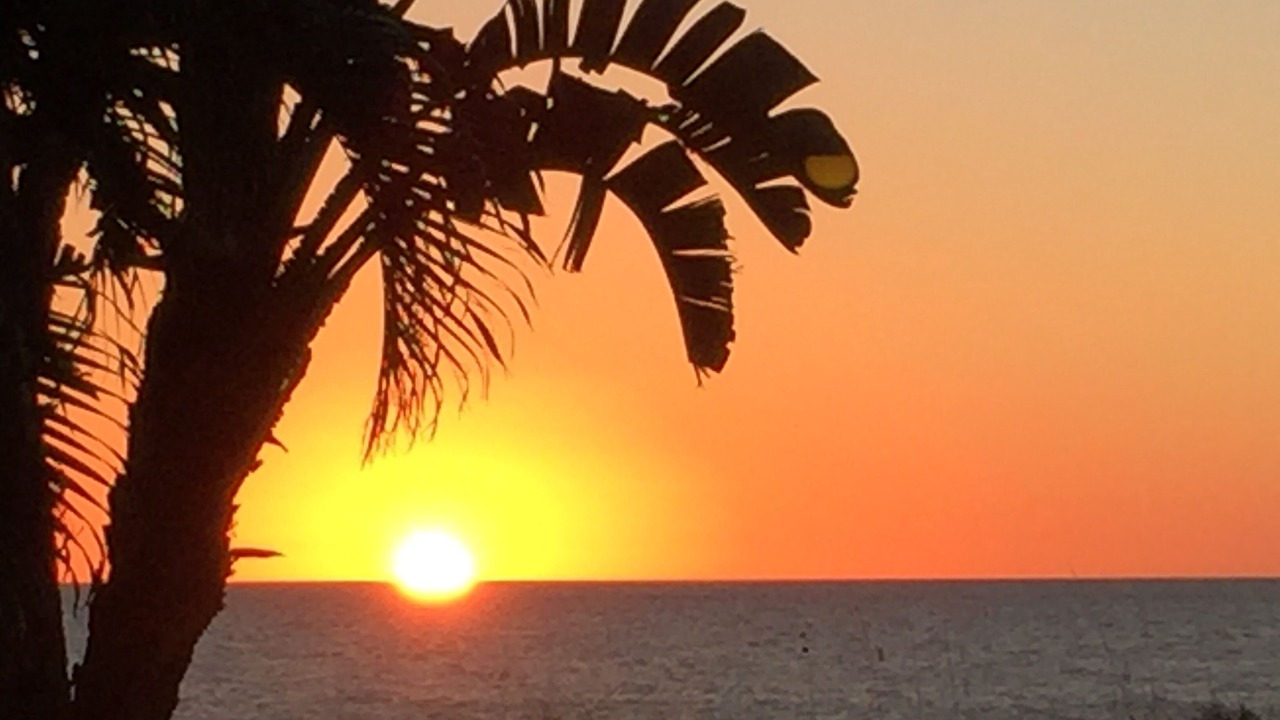 Photo of Others in Madeira Beach