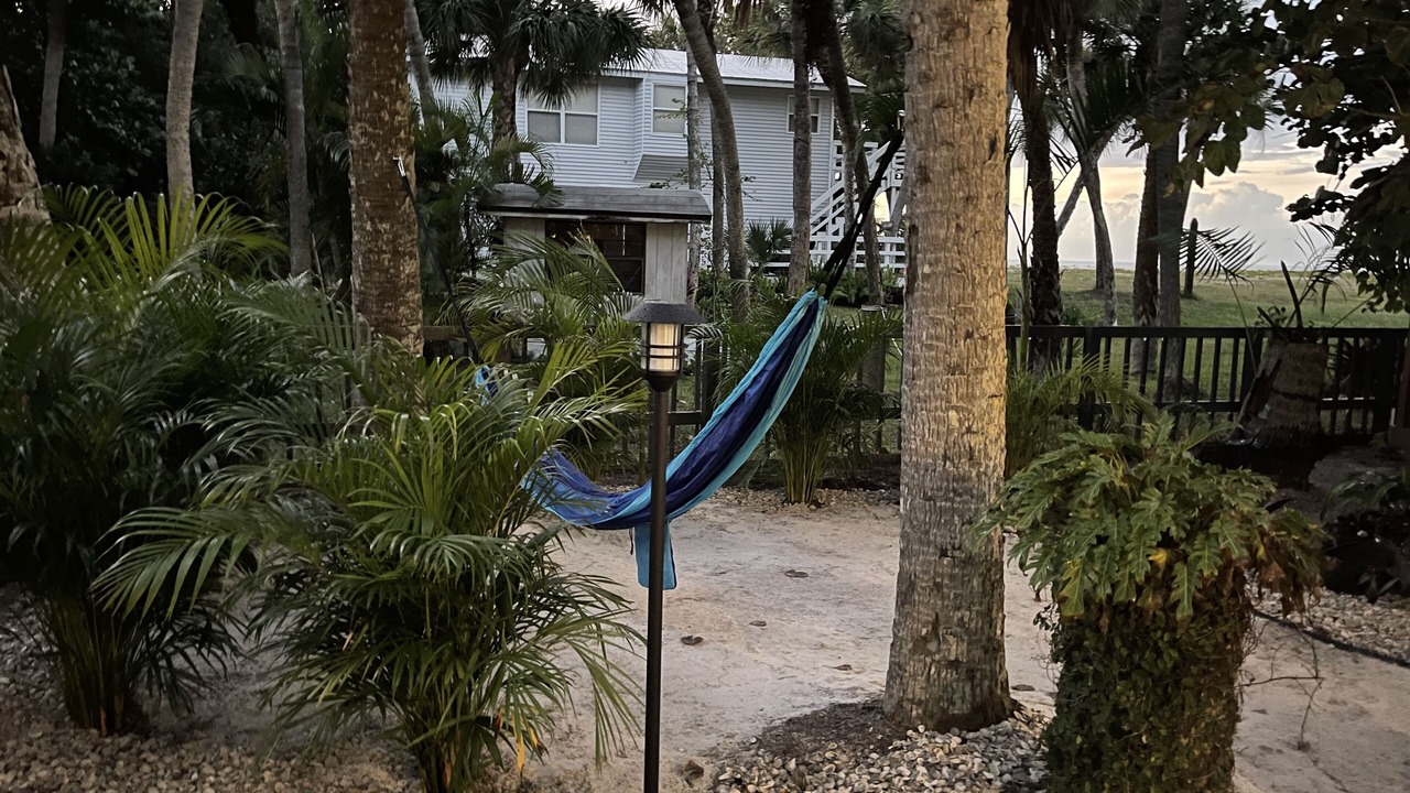 Photo of Others in Jose's Hideaway