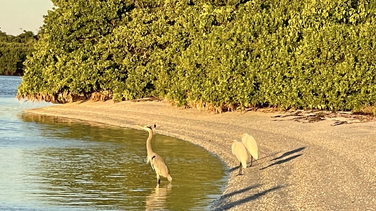 Photo of Others in Jose's Hideaway