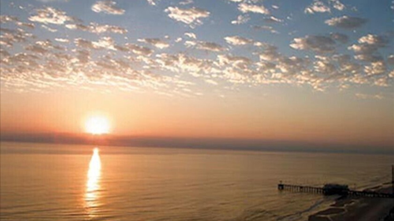 Photo of Others in Daytona Beach
