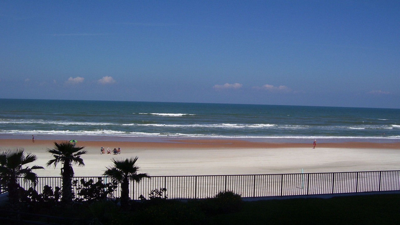 Photo of Others in Daytona Beach