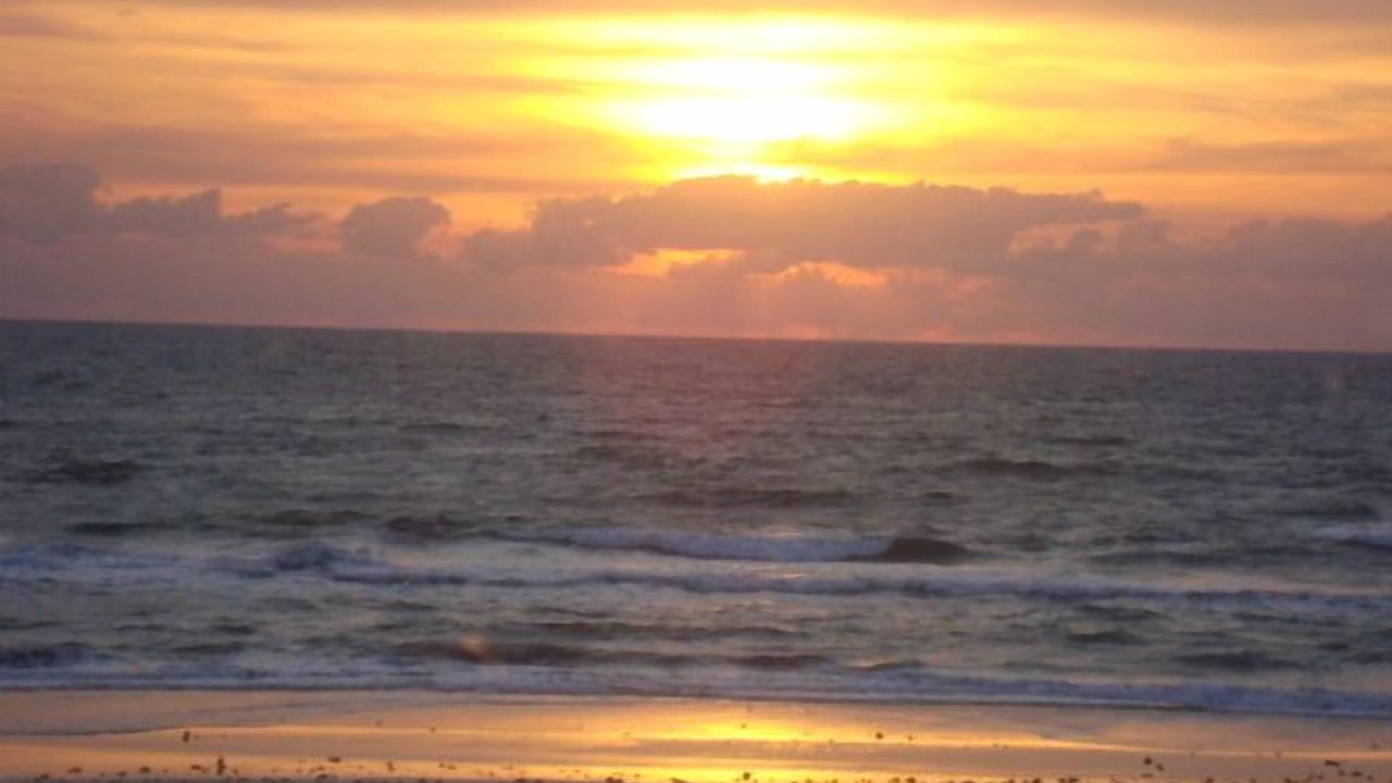 Photo of Others in Daytona Beach