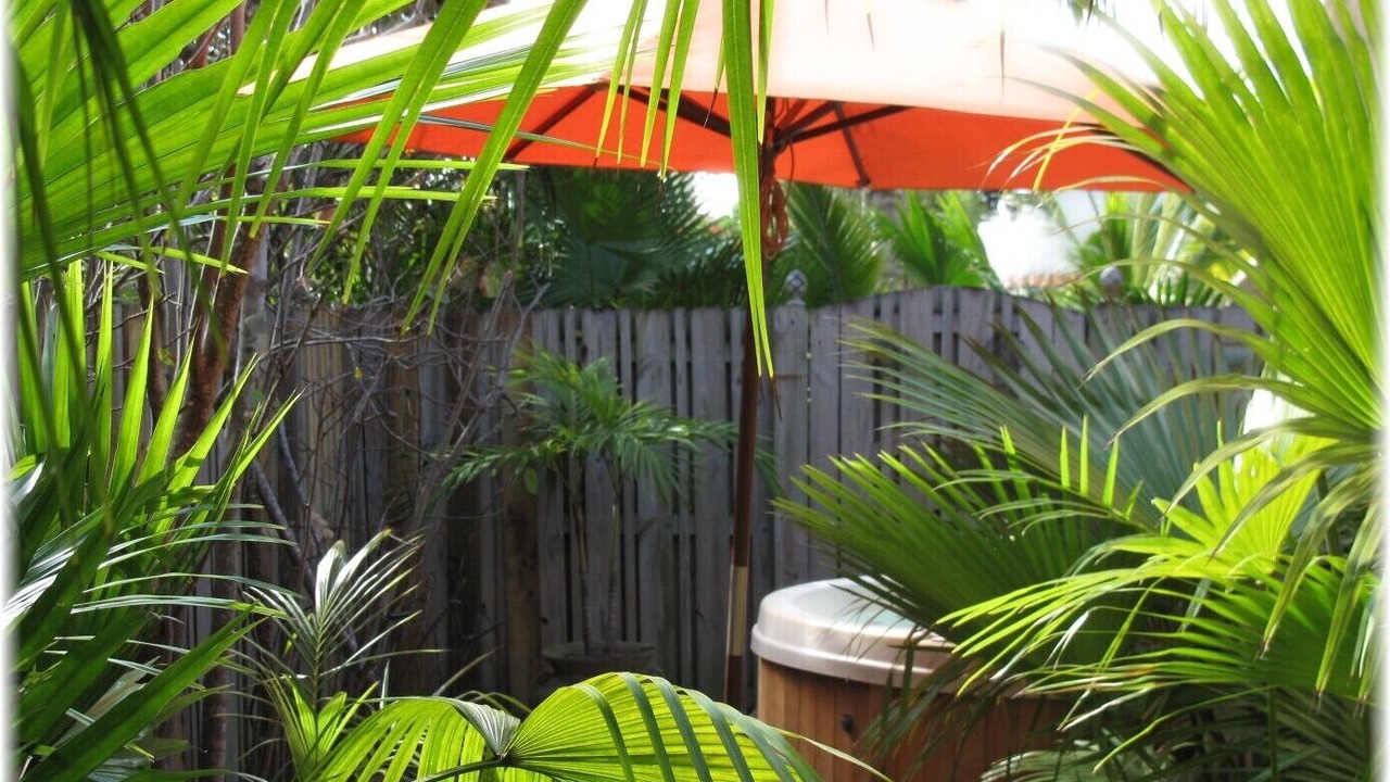 Photo of Outdoor in Bel Air