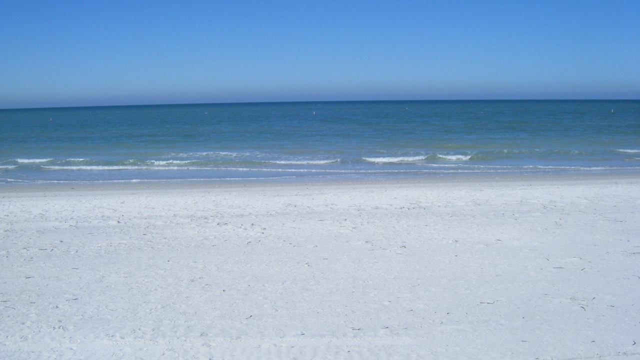 Photo of Others in Indian Rocks Beach