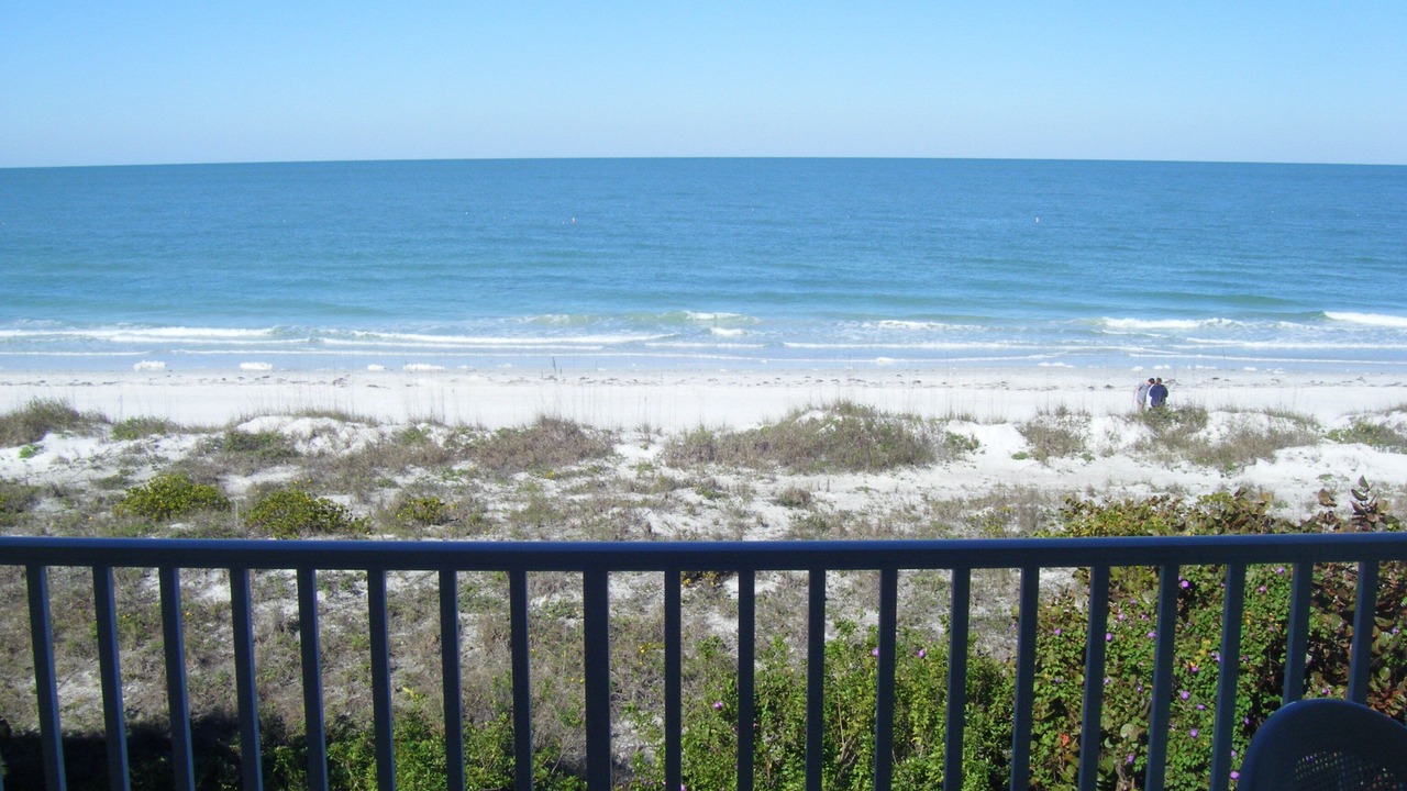 Photo of Others in Indian Rocks Beach