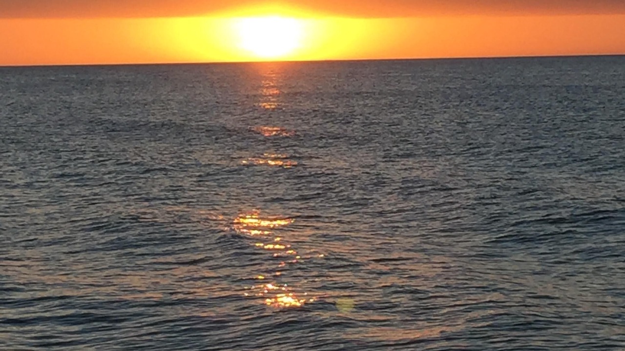 Photo of Others in Indian Rocks Beach
