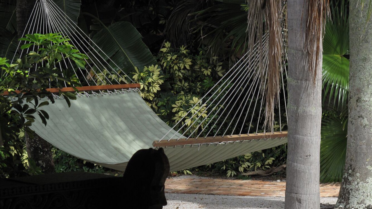 Photo of Others in Bel Air